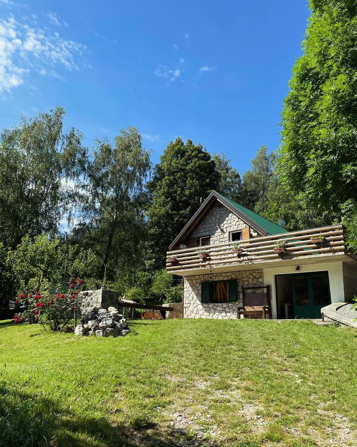 Sanmari_Forest Ledenice Exteriér fotografie
